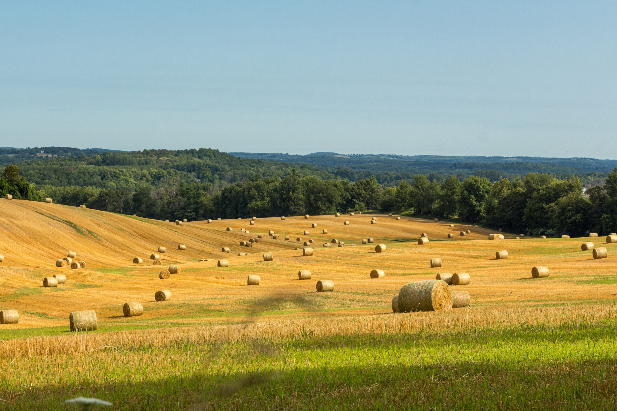 Farmers field